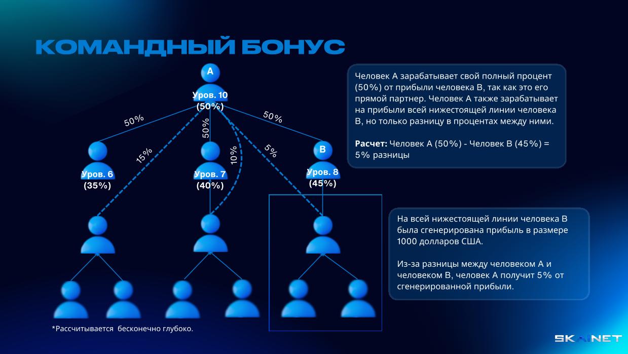 ПРЫКЛАД КАМАНДЫ БОНУСА